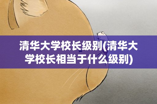 清华大学校长级别(清华大学校长相当于什么级别)