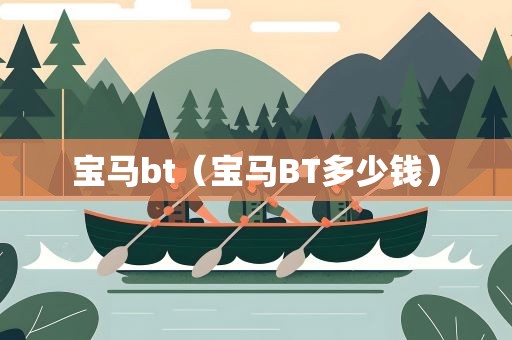 宝马bt（宝马BT多少钱）
