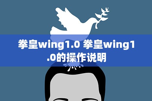 拳皇wing1.0 拳皇wing1.0的操作说明