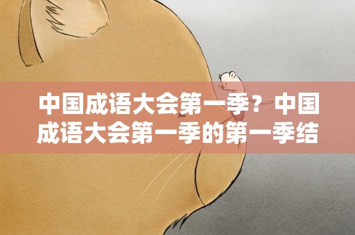 中国成语大会第一季？中国成语大会第一季的第一季结果