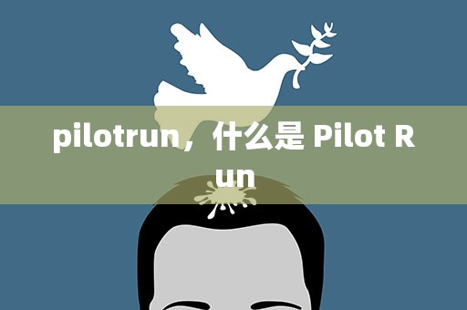 pilotrun，什么是 Pilot Run