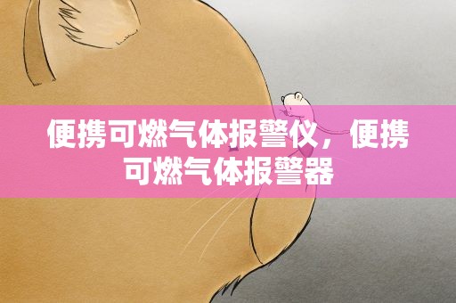 便携可燃气体报警仪，便携可燃气体报警器