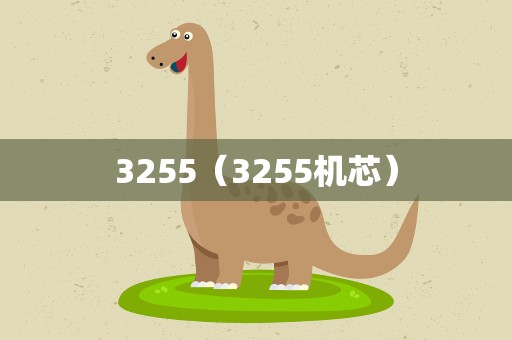 3255（3255机芯）