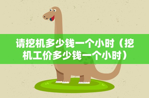请挖机多少钱一个小时（挖机工价多少钱一个小时）