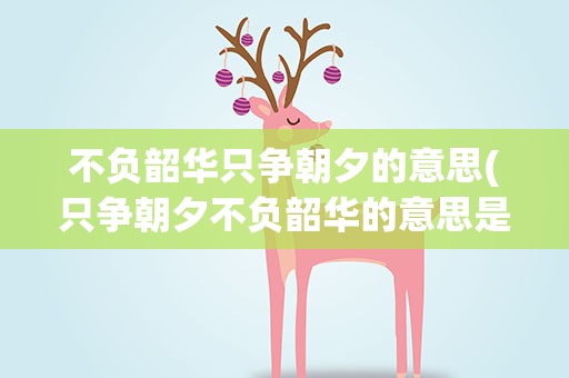 不负韶华只争朝夕的意思(只争朝夕不负韶华的意思是什么)