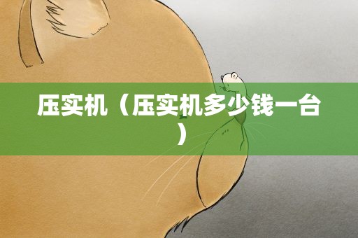 压实机（压实机多少钱一台）