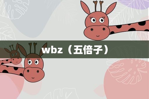 wbz（五倍子）
