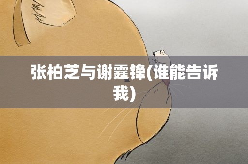 张柏芝与谢霆锋(谁能告诉我)