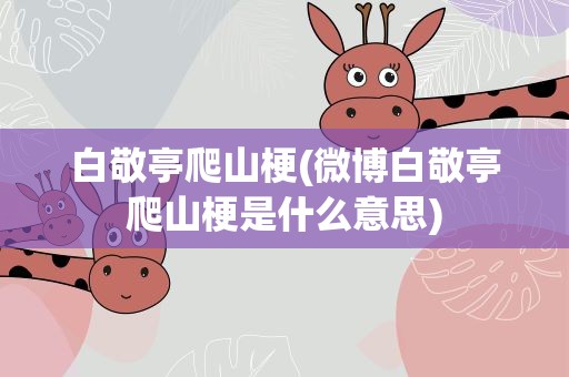 白敬亭爬山梗(微博白敬亭爬山梗是什么意思)