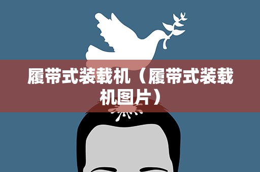 履带式装载机（履带式装载机图片）