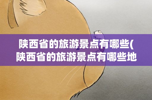 陕西省的旅游景点有哪些(陕西省的旅游景点有哪些地方)