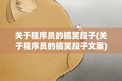 关于程序员的搞笑段子(关于程序员的搞笑段子文案)