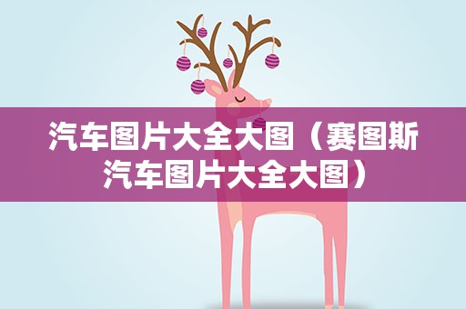 汽车图片大全大图（赛图斯汽车图片大全大图）