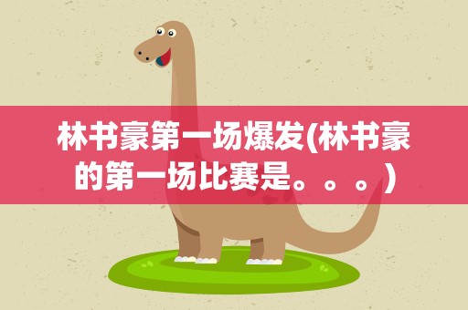 林书豪第一场爆发(林书豪的第一场比赛是。。。)