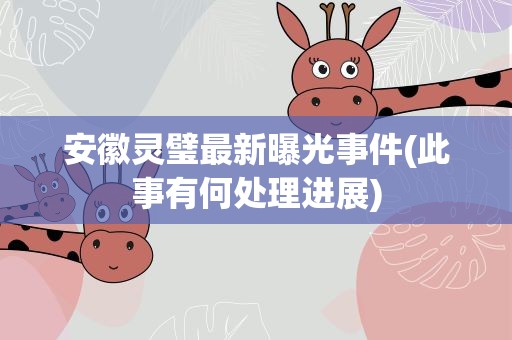 安徽灵璧最新曝光事件(此事有何处理进展)