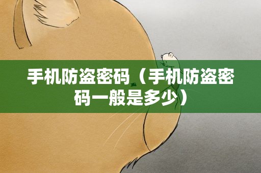 手机防盗密码（手机防盗密码一般是多少）