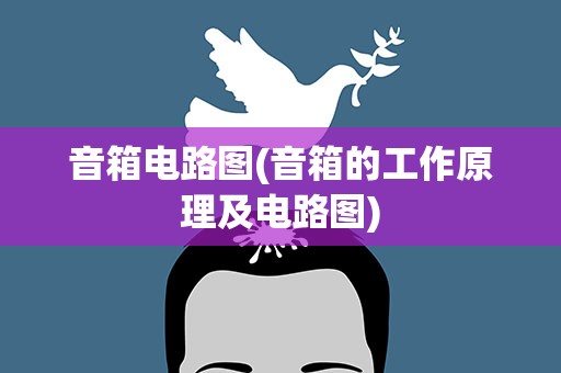 音箱电路图(音箱的工作原理及电路图)
