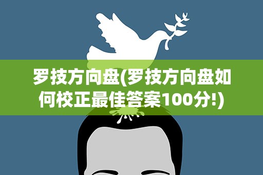 罗技方向盘(罗技方向盘如何校正最佳答案100分!)