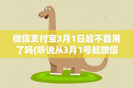 微信支付宝3月1日起不能用了吗(听说从3月1号起微信和支付宝都不能用是吗)
