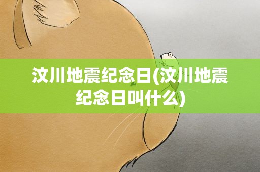汶川地震纪念日(汶川地震纪念日叫什么)