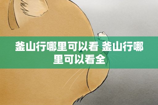 釜山行哪里可以看 釜山行哪里可以看全