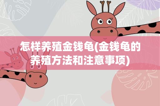 怎样养殖金钱龟(金钱龟的养殖方法和注意事项)