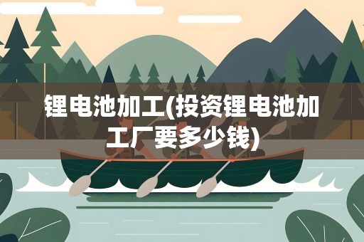 锂电池加工(投资锂电池加工厂要多少钱)