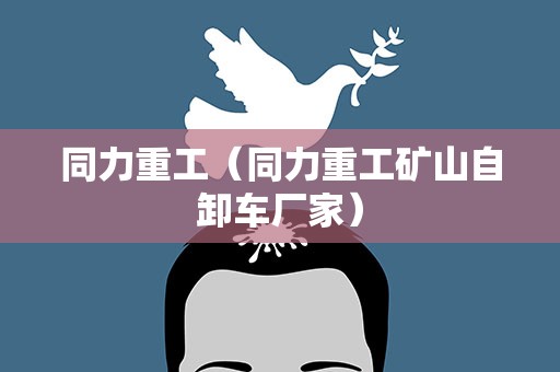 同力重工（同力重工矿山自卸车厂家）