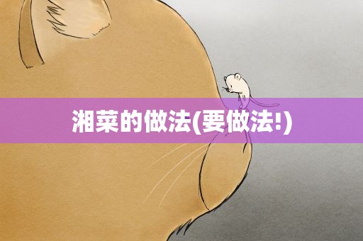 湘菜的做法(要做法!)