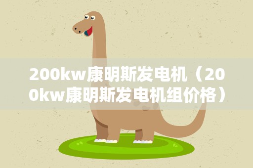 200kw康明斯发电机（200kw康明斯发电机组价格）