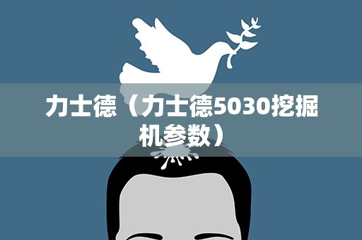 力士德（力士德5030挖掘机参数）