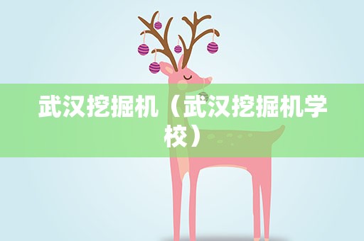 武汉挖掘机（武汉挖掘机学校）