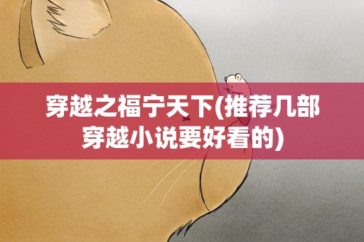 穿越之福宁天下(推荐几部穿越小说要好看的)