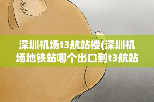 深圳机场t3航站楼(深圳机场地铁站哪个出口到t3航站楼怎么走)