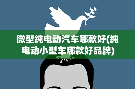 微型纯电动汽车哪款好(纯电动小型车哪款好品牌)