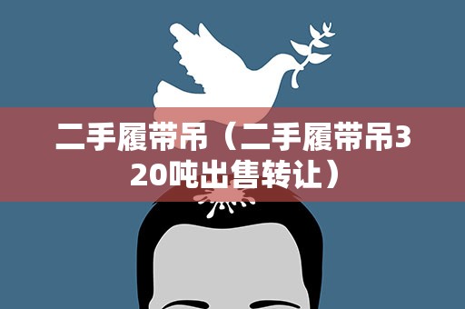 二手履带吊（二手履带吊320吨出售转让）
