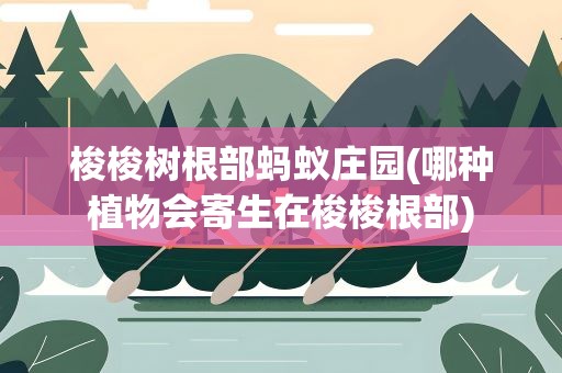 梭梭树根部蚂蚁庄园(哪种植物会寄生在梭梭根部)