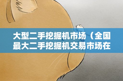 大型二手挖掘机市场（全国最大二手挖掘机交易市场在哪里）