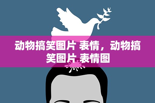 动物搞笑图片 表情，动物搞笑图片 表情图