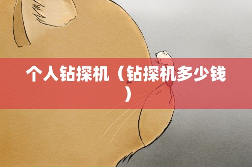 个人钻探机（钻探机多少钱）