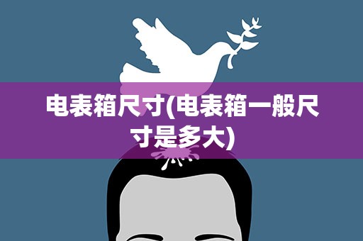 电表箱尺寸(电表箱一般尺寸是多大)