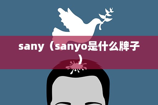 sany（sanyo是什么牌子）