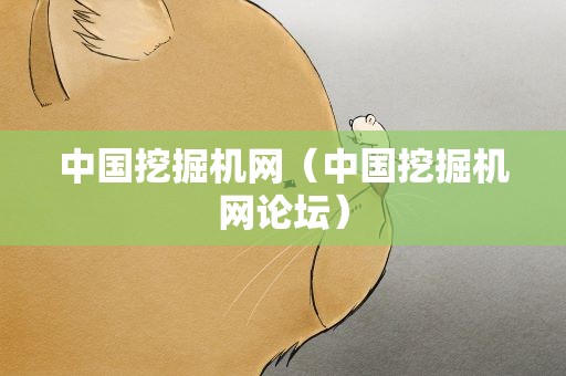 中国挖掘机网（中国挖掘机网论坛）