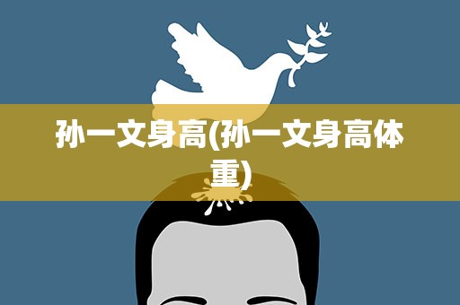孙一文身高(孙一文身高体重)