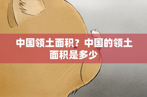 中国领土面积？中国的领土面积是多少