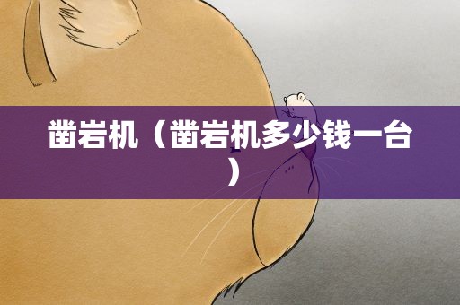 凿岩机（凿岩机多少钱一台）