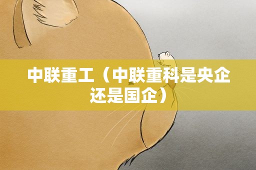 中联重工（中联重科是央企还是国企）