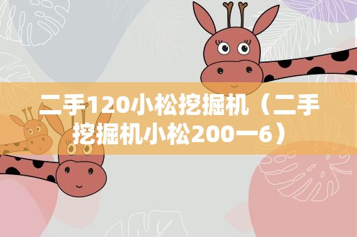 二手120小松挖掘机（二手挖掘机小松200一6）