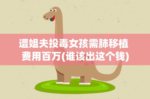遭姐夫投毒女孩需肺移植 费用百万(谁该出这个钱)