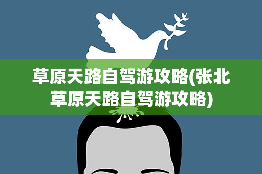 草原天路自驾游攻略(张北草原天路自驾游攻略)